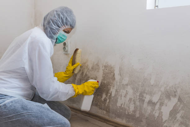 Best Real Estate Mold Inspection  in Aragon, GA